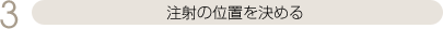 注射の位置を決める