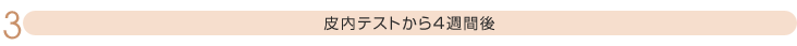 3.皮内テストから4週間後