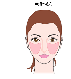 ■頬の毛穴
